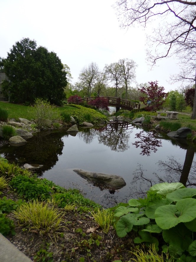 Pond by Ron DeKett